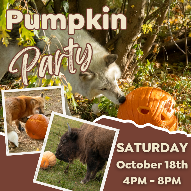 2025 Pumpkin Party Saturday October 18th 4pm-6pm