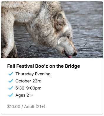 Boo'z on the Bridge